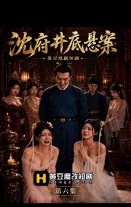 沈府密事